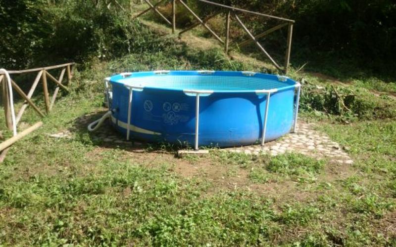 little swimming pool for children little swimming pool for children